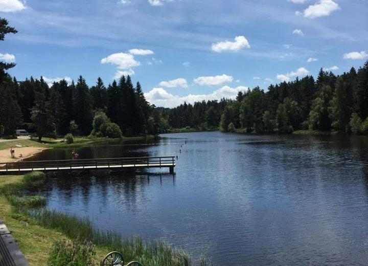 Gite Des 3 Etangs Malvières Esterno foto