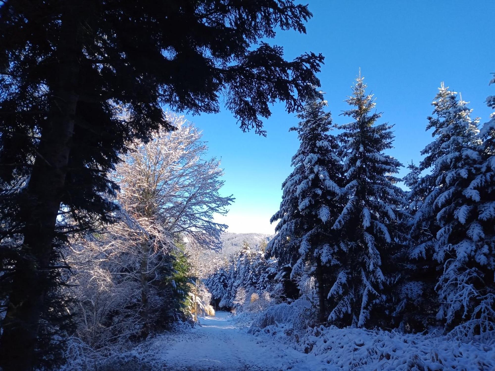 Gite Des 3 Etangs Malvières Esterno foto