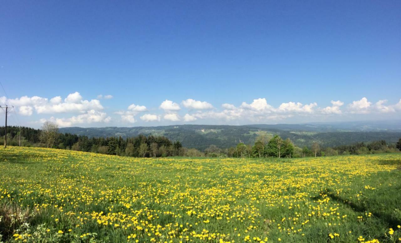 Gite Des 3 Etangs Malvières Esterno foto